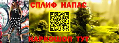 стафф Новокубанск