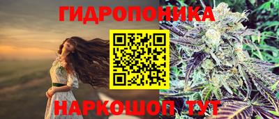ГАЛЛЮЦИНОГЕННЫЕ ГРИБЫ Новозыбков