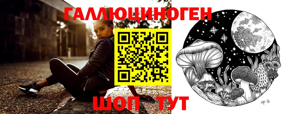 Чебоксары  Псилоцибиновые грибы прущие грибы  где купить наркоту  Псилоцибиновые грибы MAGIC MUSHROOMS  Вход с VPN 