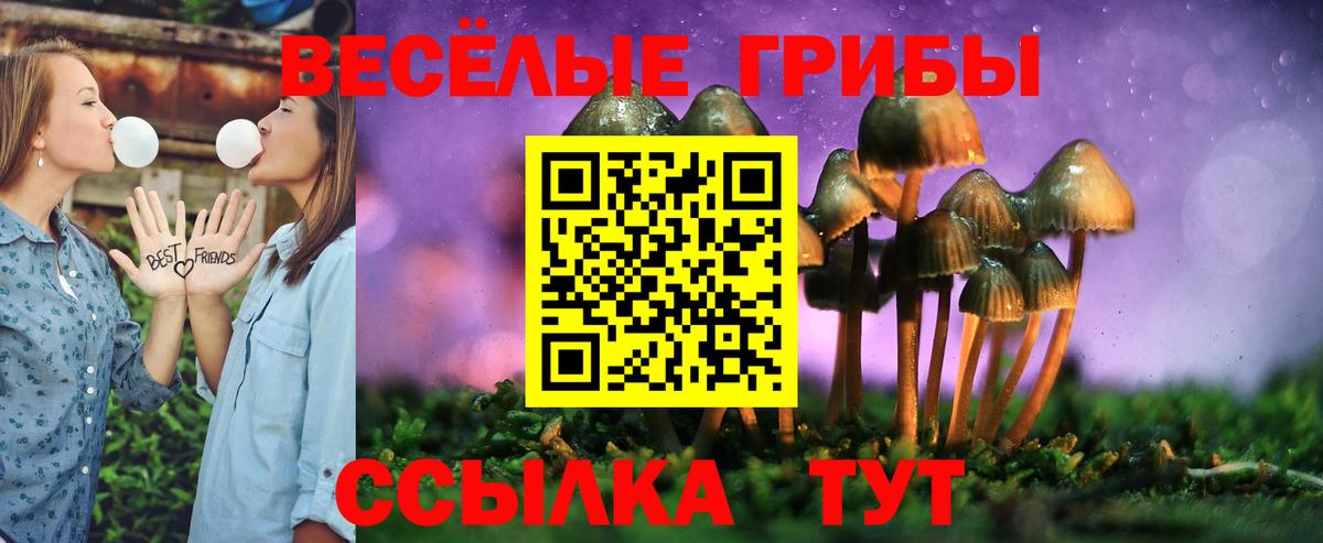 Псилоцибиновые грибы GOLDEN TEACHER Чебоксары